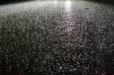 企业档案：暴雨中的抢运