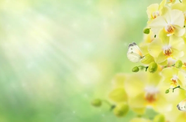 档案人生丨赵娜：“典”亮初心映兰台